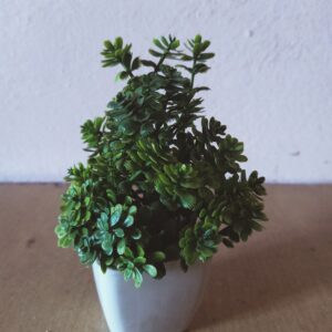 plastic plants (3pcs)
