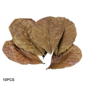 ALMOND LEAVES